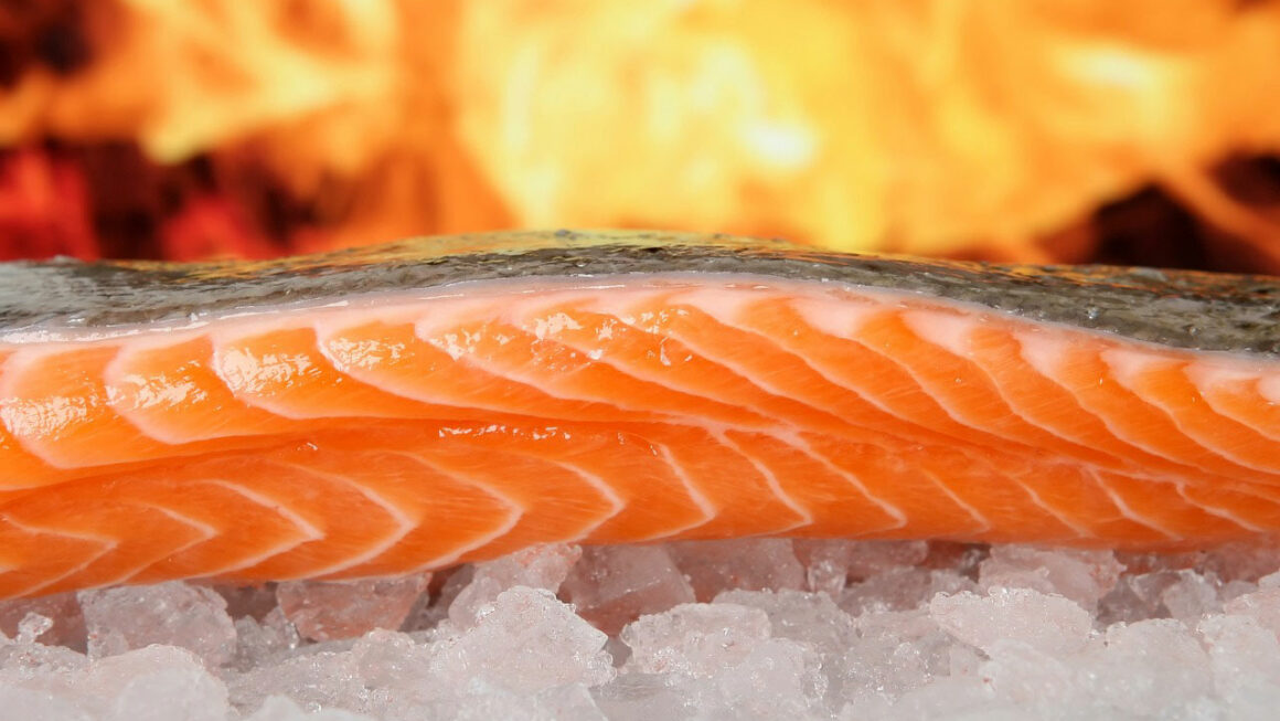 omega-3-alimenti-salmone